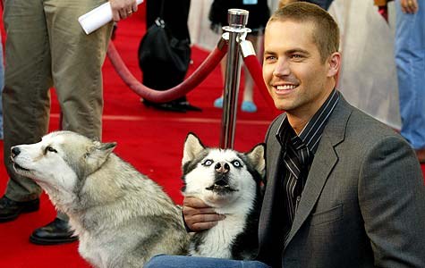paul-walker